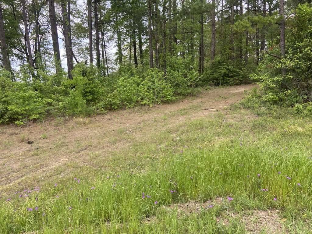 Brookland, TX 75931,Lot 34 US Highway 96