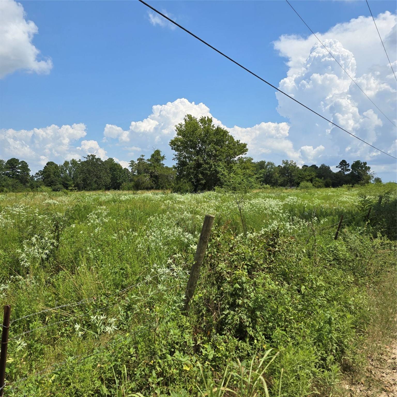 Coldspring, TX 77331,TBD Tract 2 Padgett Rd