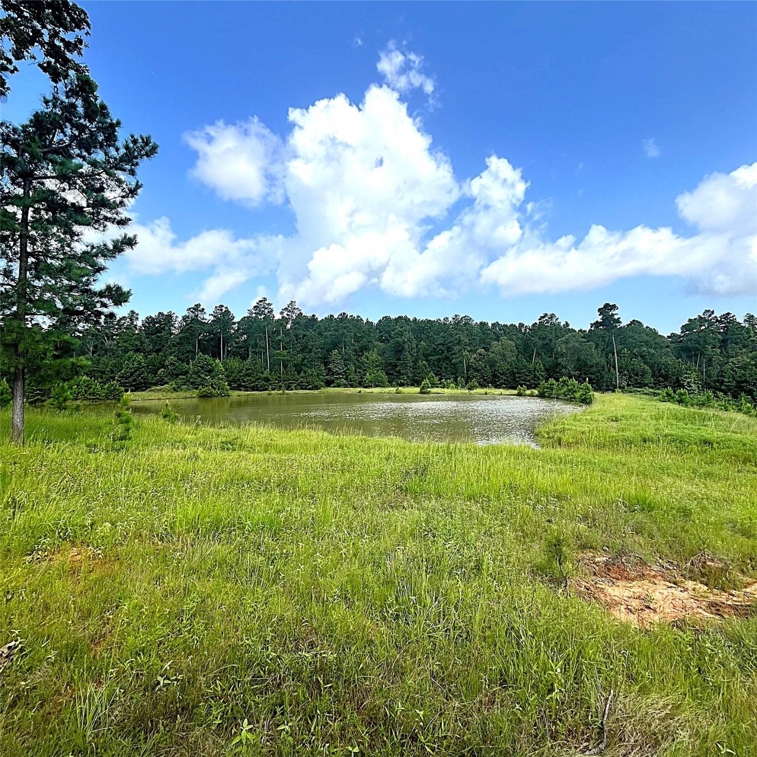 Leona, TX 75850,TBD Fm 1119