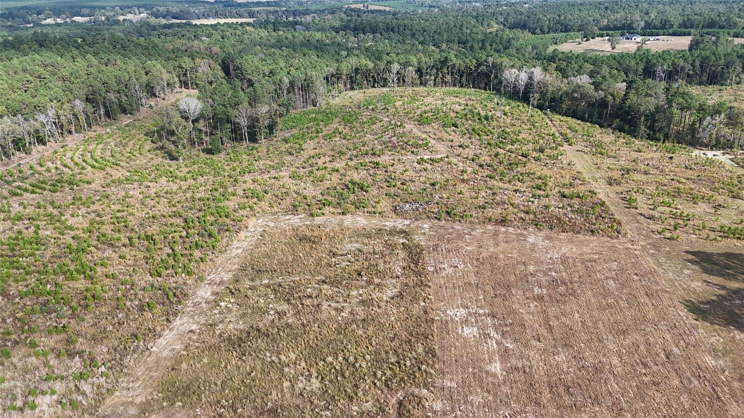 Livingston, TX 77351,TBD 3 Young Road