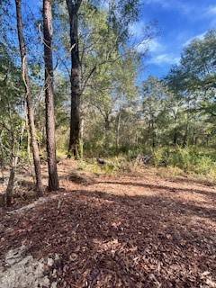 Cleveland, TX 77327,480 County Road 3188