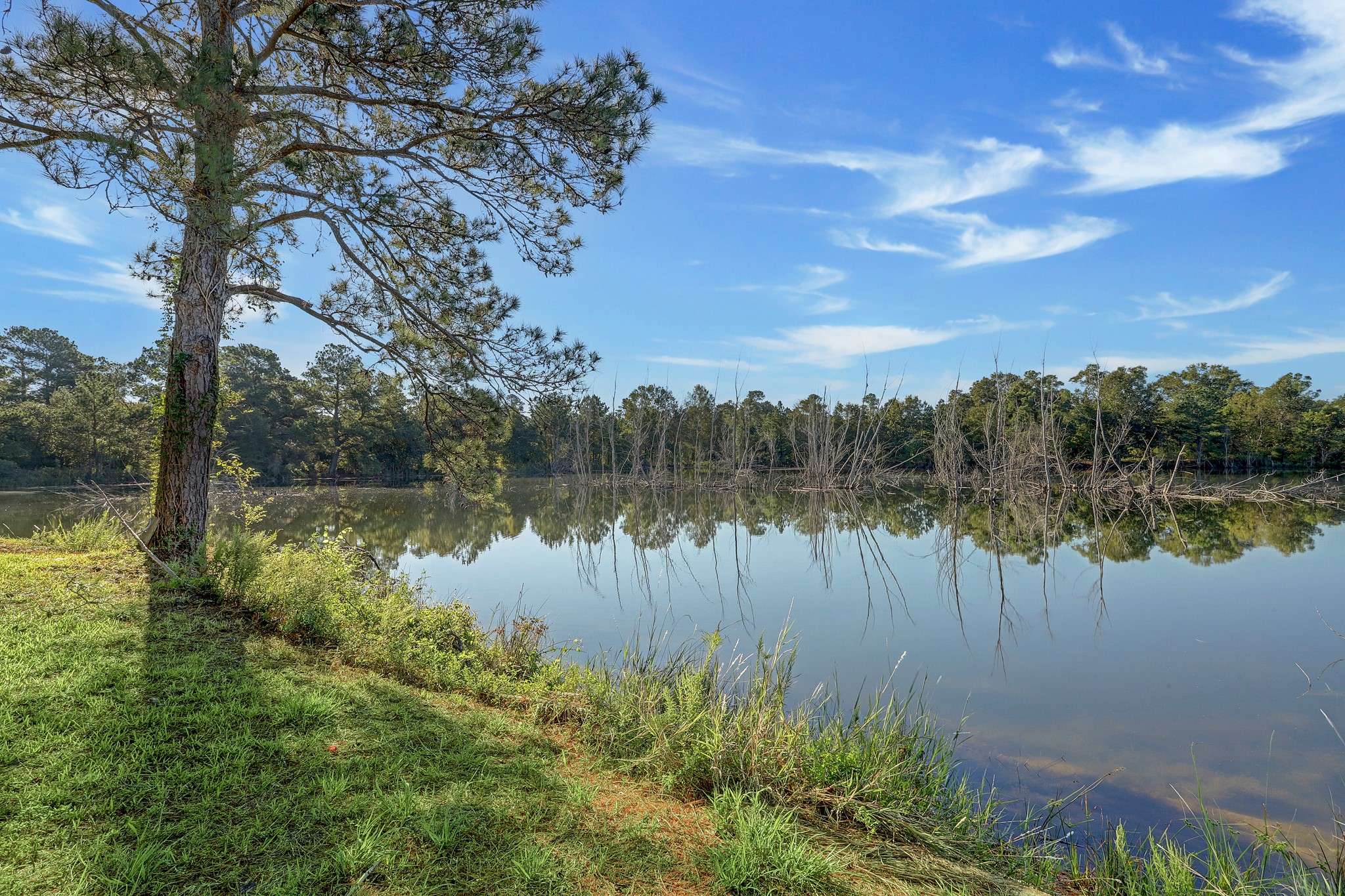 Conroe, TX 77385,18760 Pin Oak Road