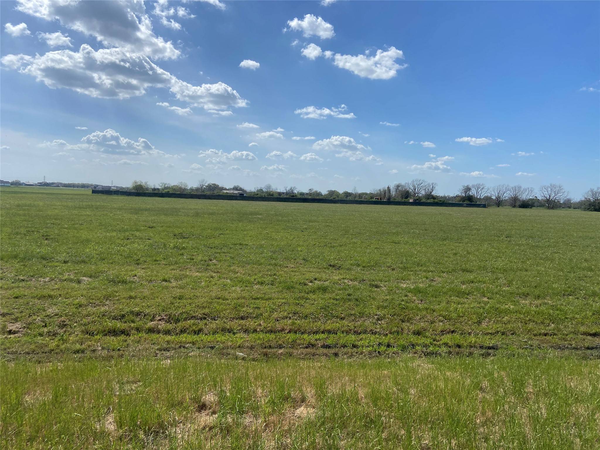 Angleton, TX 77515,0000 Brahman TRL