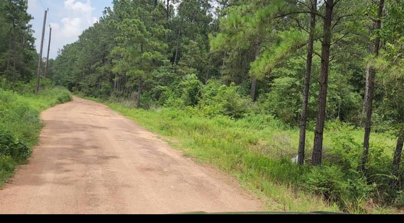 Plantersville, TX 77363,13 Scarlet Oak Dr