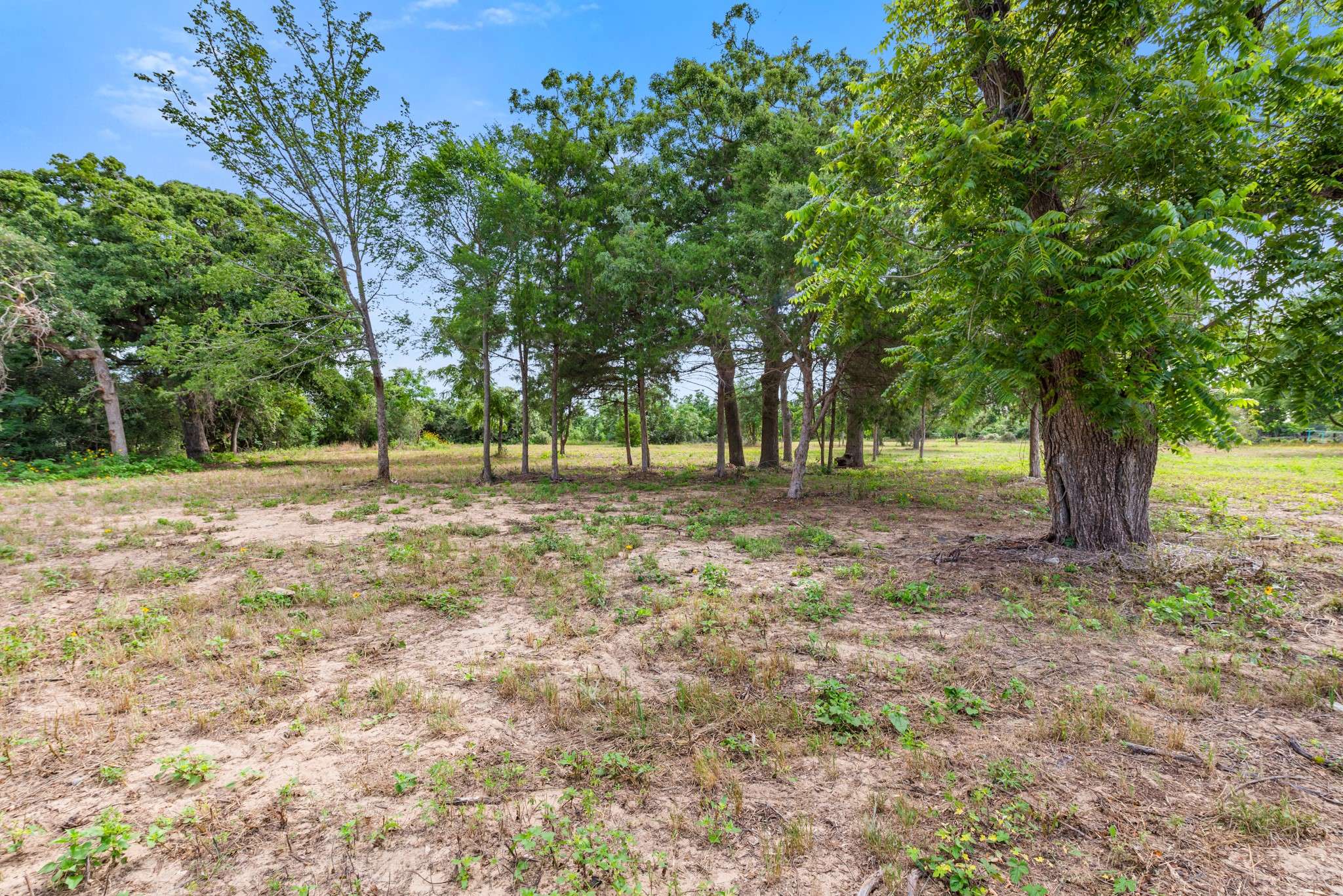 Somerville, TX 77879,167 Signal ST