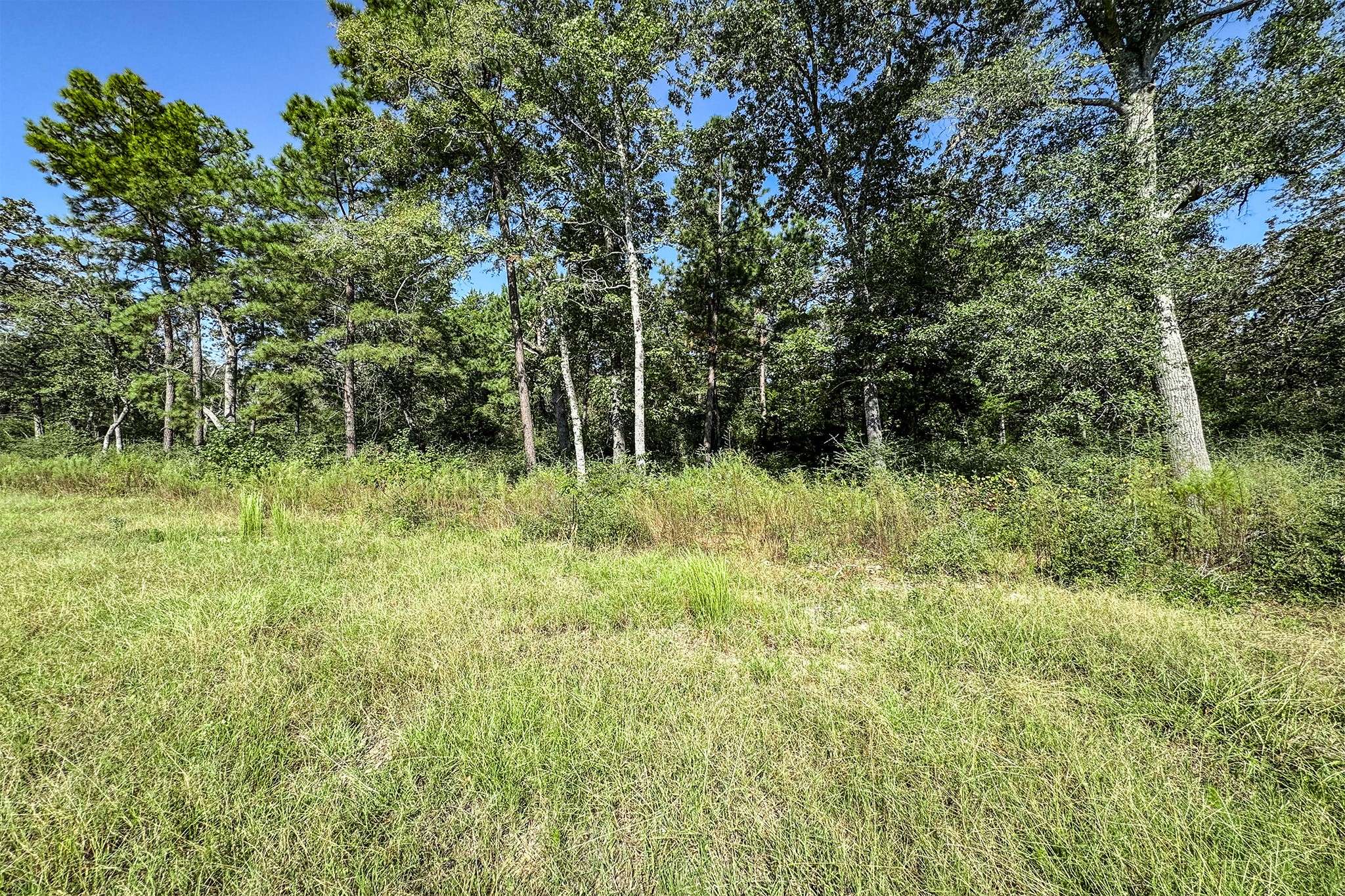 Centerville, TX 75833,10 Acres Lot 81 Woodland Hills Ranch
