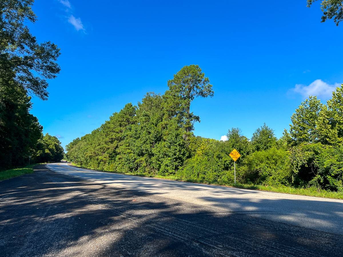 Hillister, TX 77624,1 Highway 69