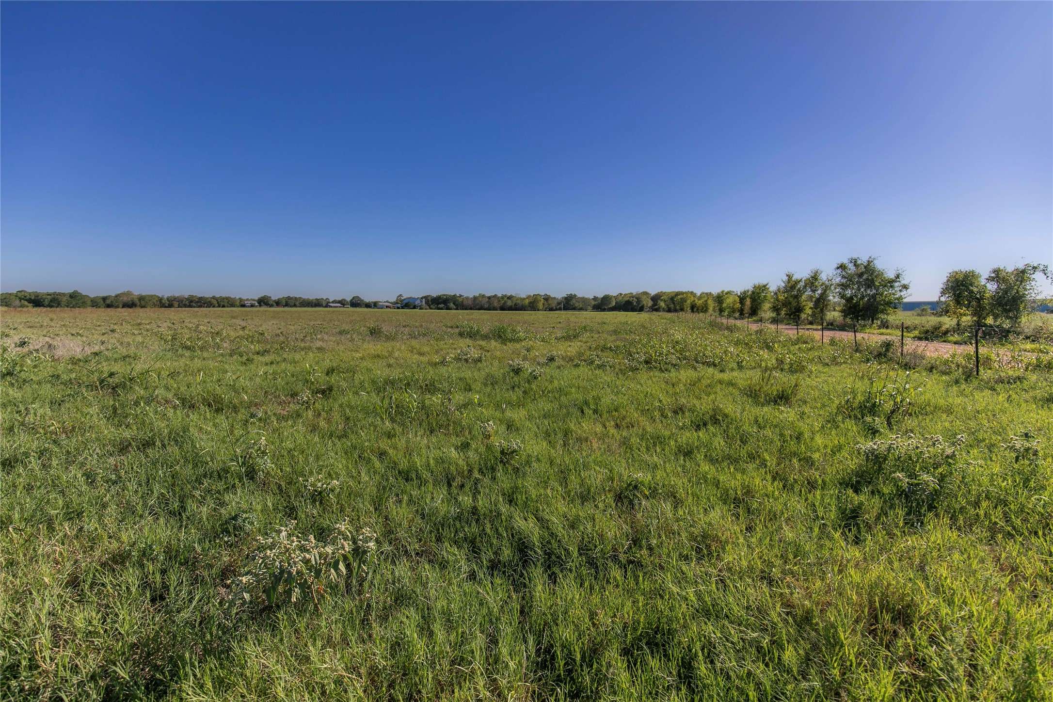 Bellville, TX 77418,Tract 1 Nelius RD