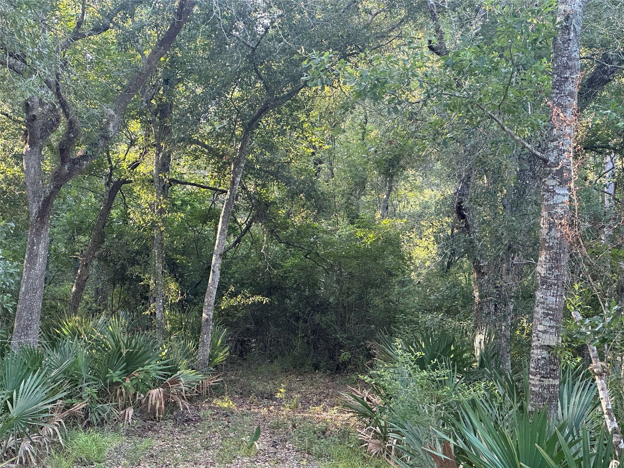 Sweeny, TX 77480,0 County Road 728C