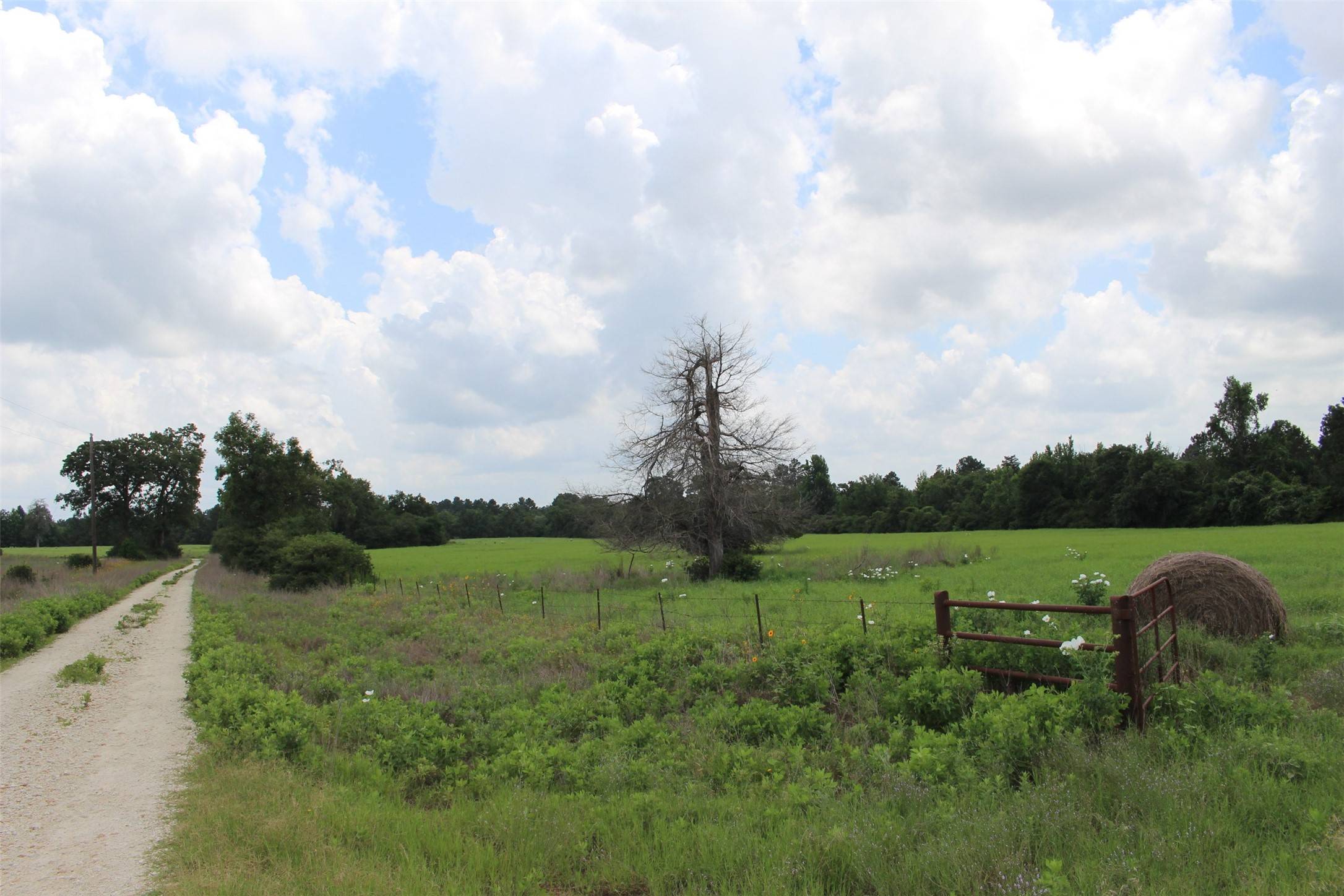 Centerville, TX 75833,000 Private Road 1310