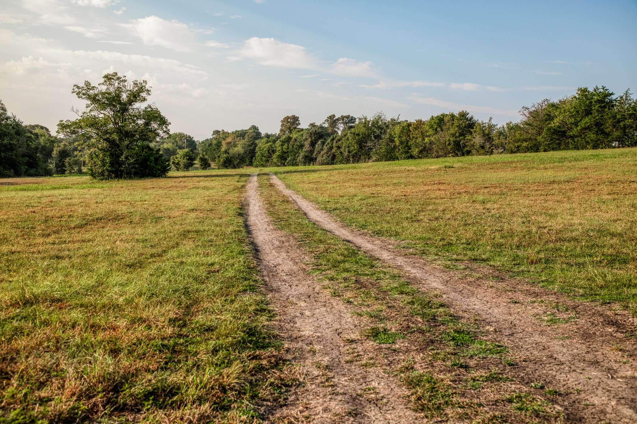 Brenham, TX 77833,2745 Happy Hollow RD