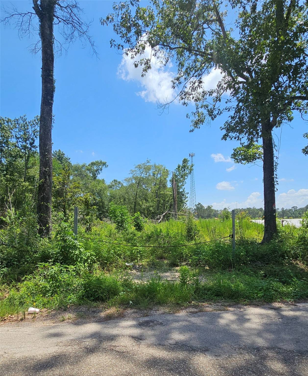 Splendora, TX 77372,TBD East River RD