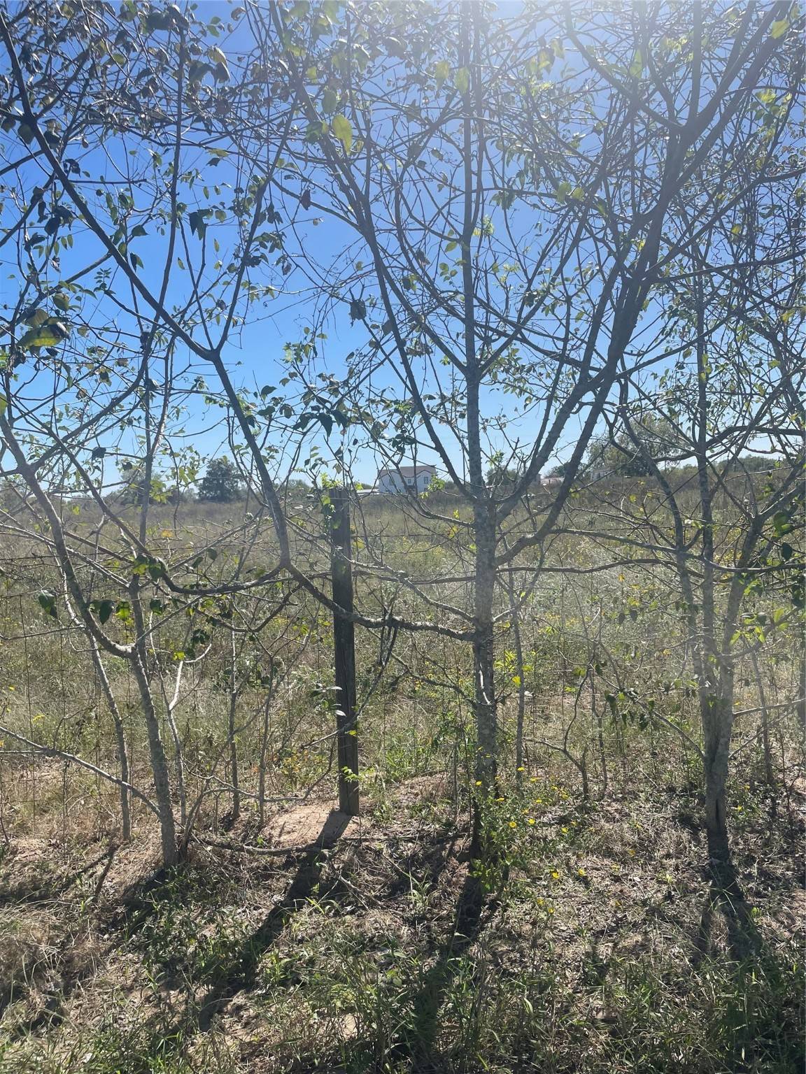 Pattison, TX 77423,40600 Mt Zion RD