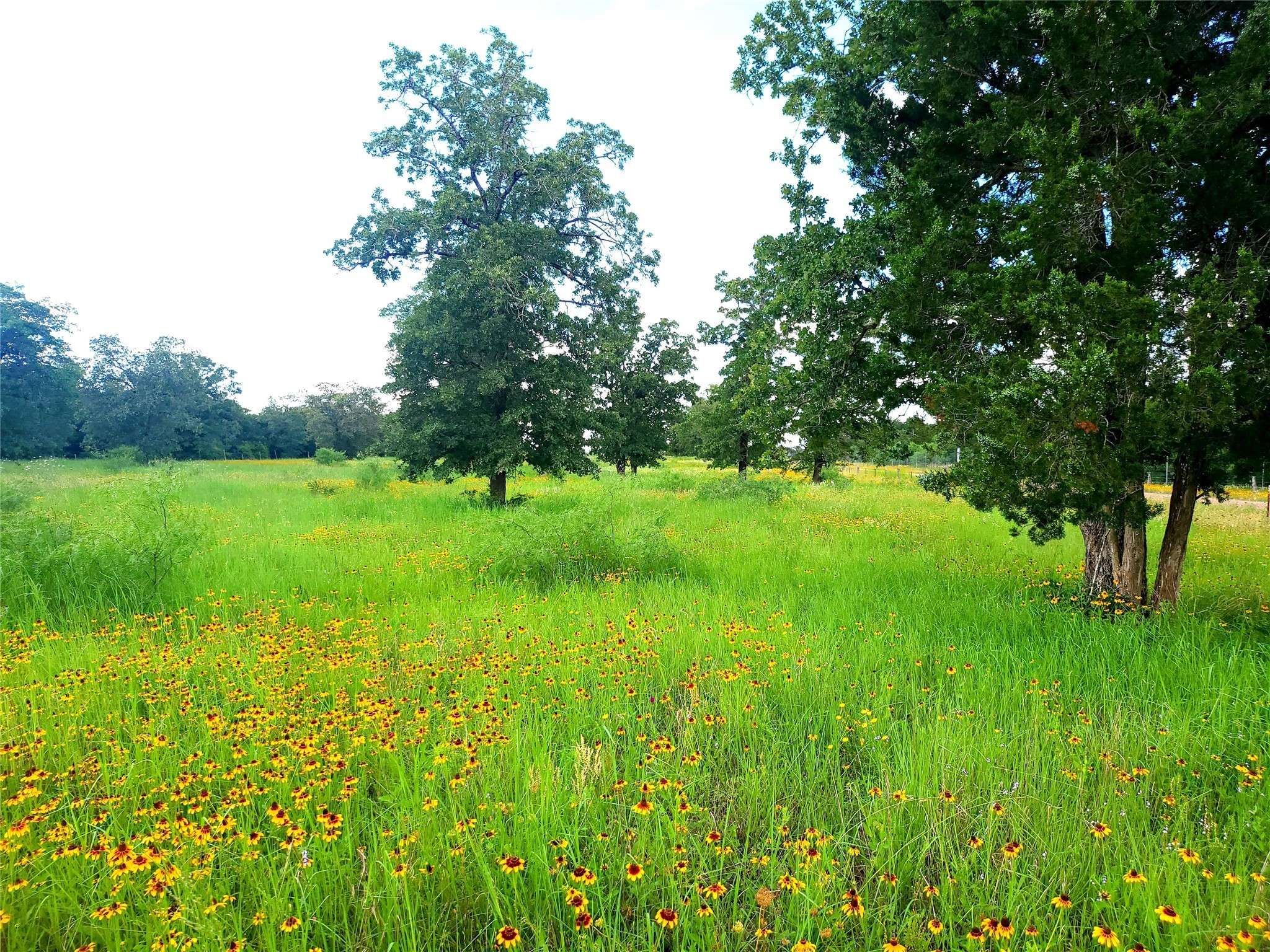 Waelder, TX 78959,1825 Armstrong-Derry RD
