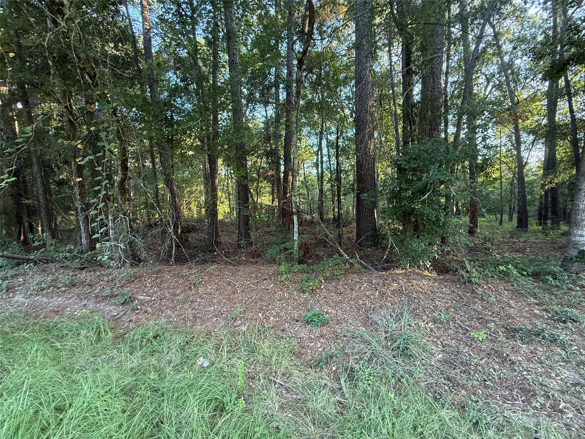 Livingston, TX 77351,TBD Charlie Pride DR