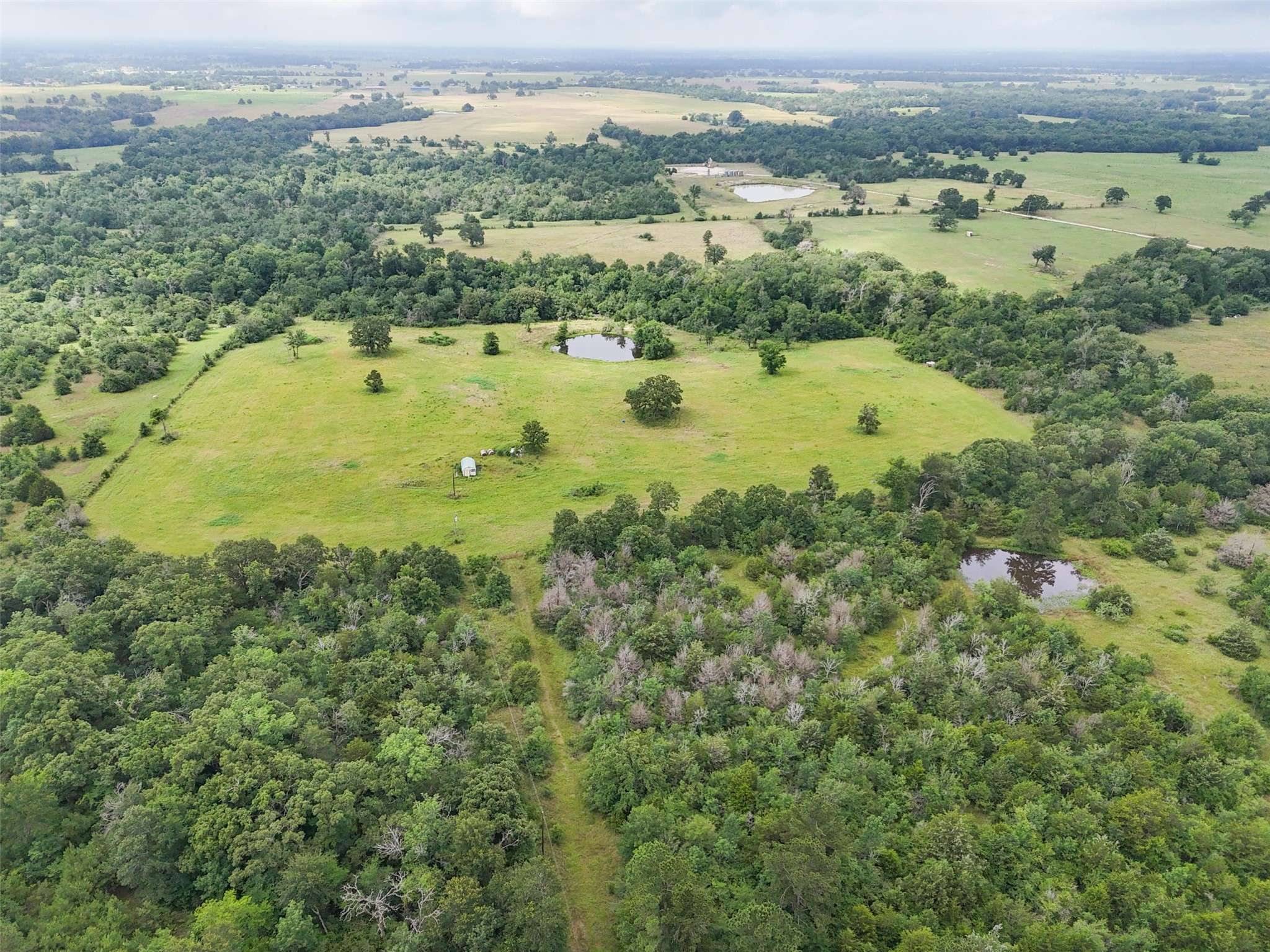 Midway, TX 75852,8530 Burns RD
