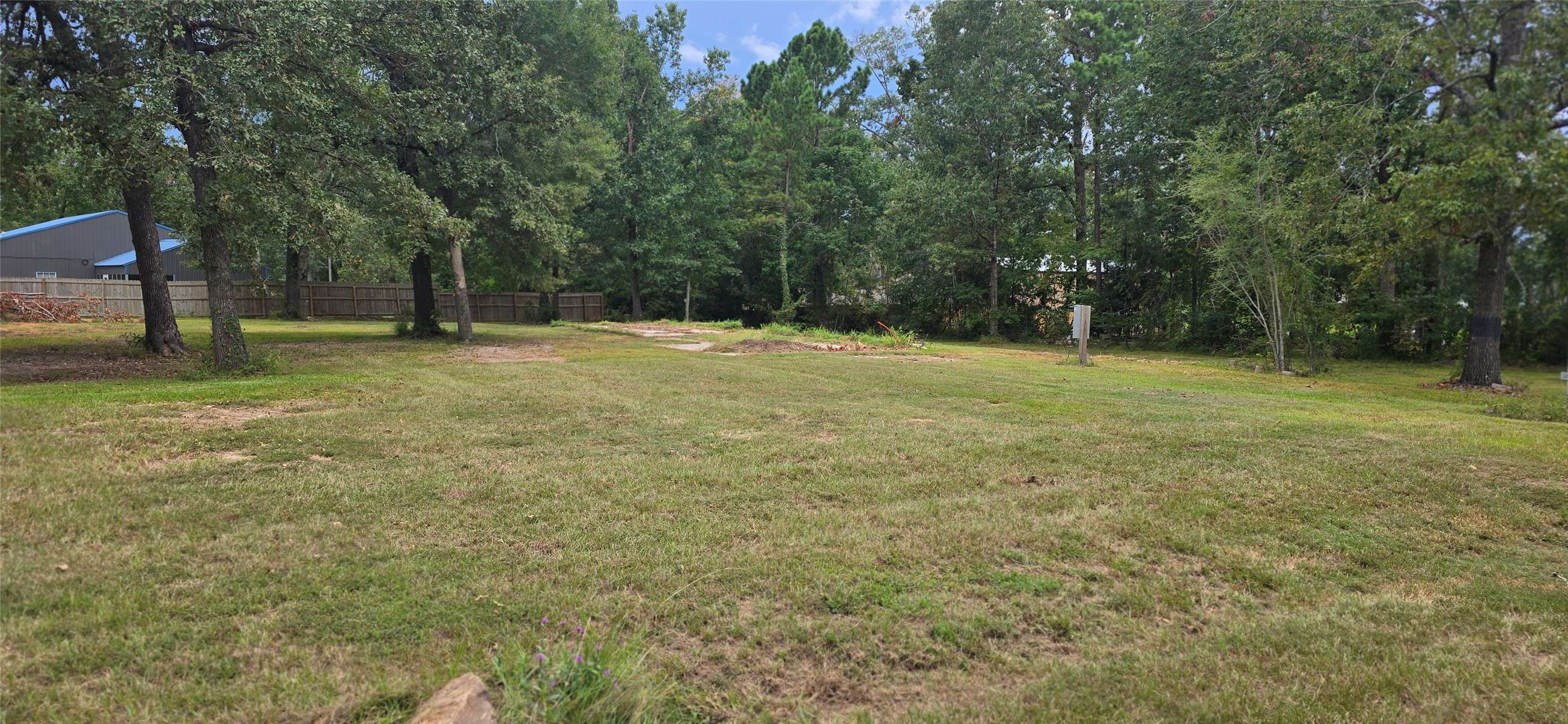 Livingston, TX 77351,TBD Laney DR