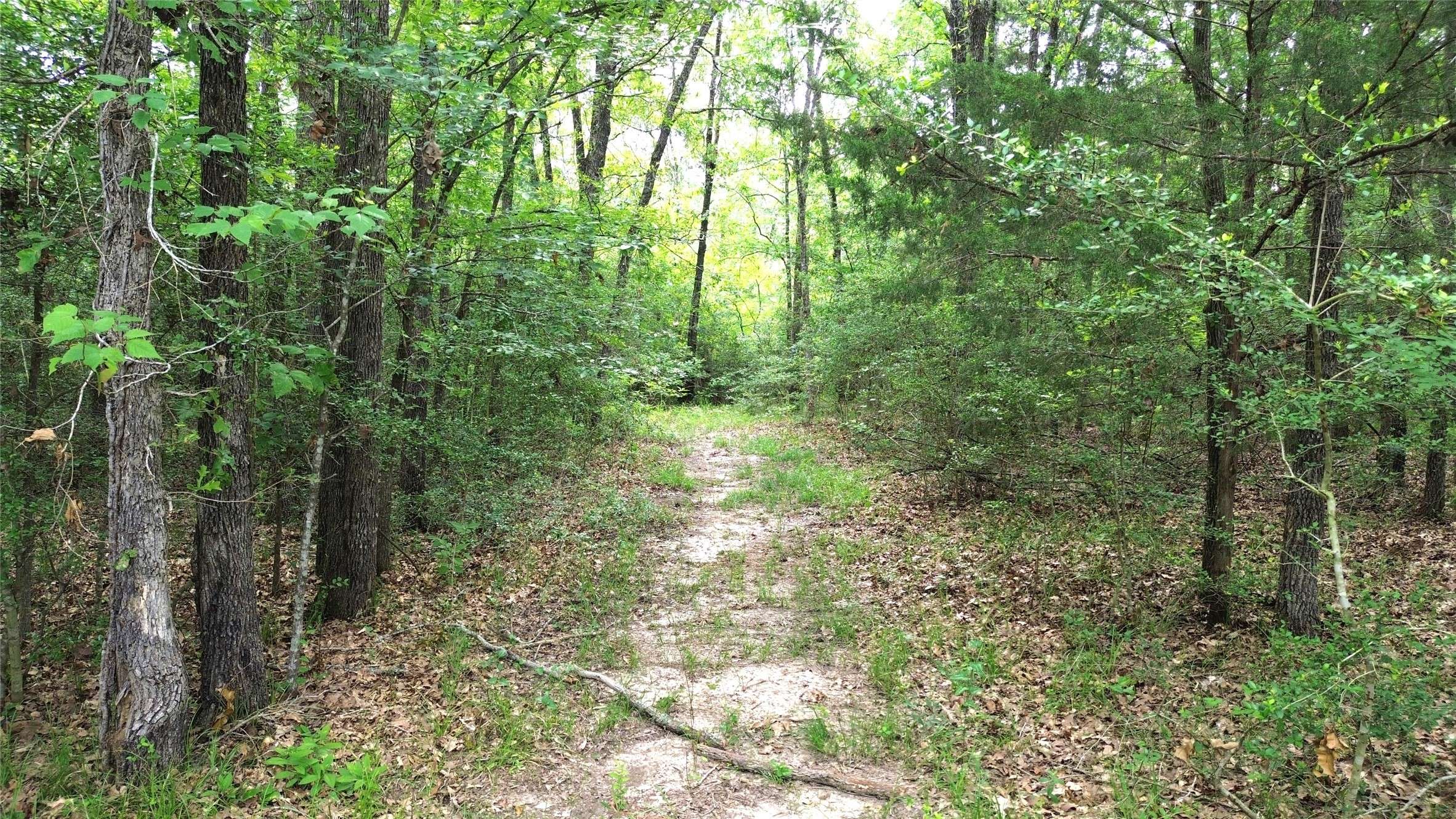 Centerville, TX 75833,7431 PR 1465