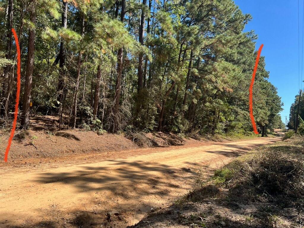 Livingston, TX 77351,0 Monroe DR