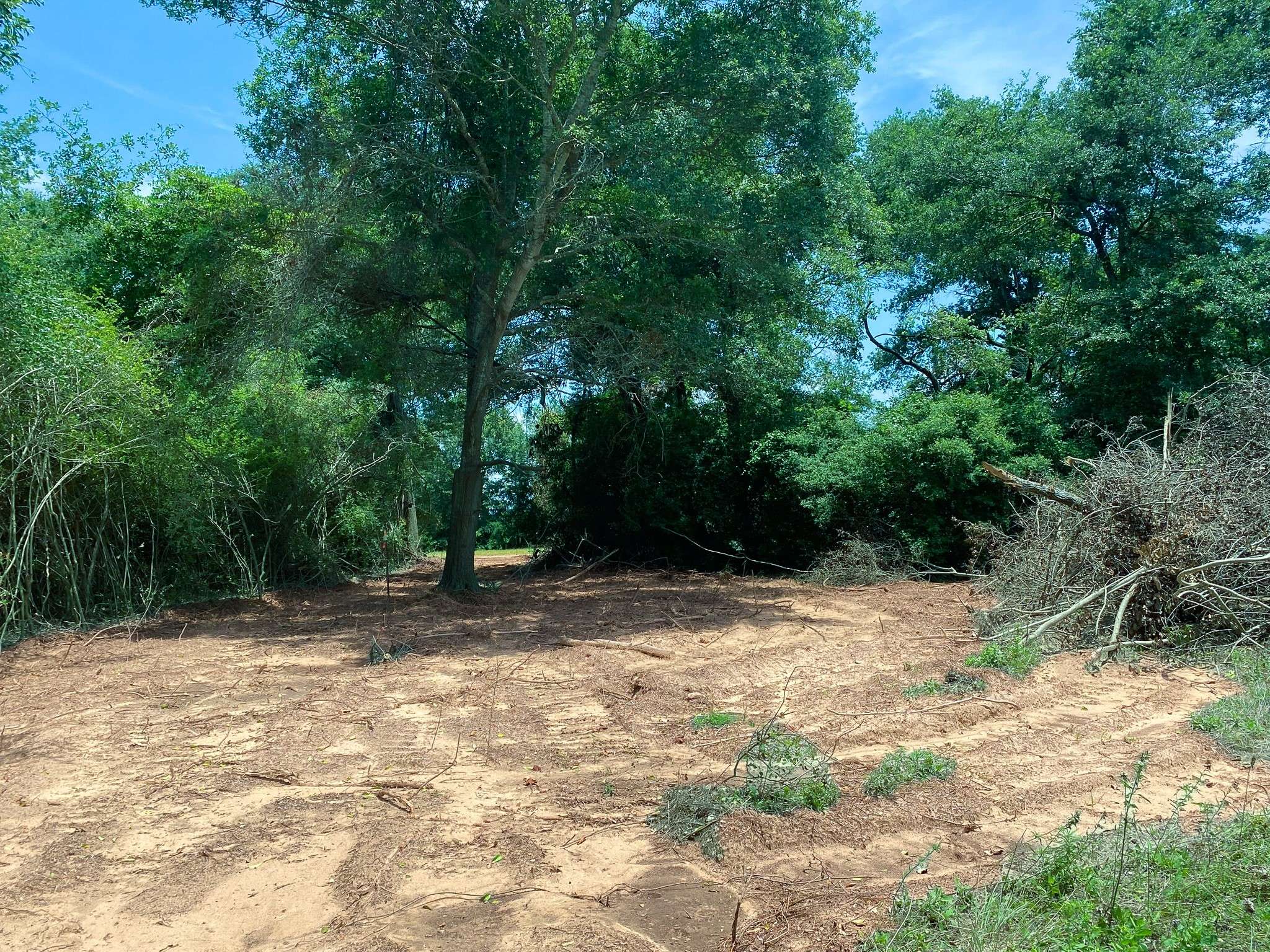 Marquez, TX 77865,4958 County Road 426