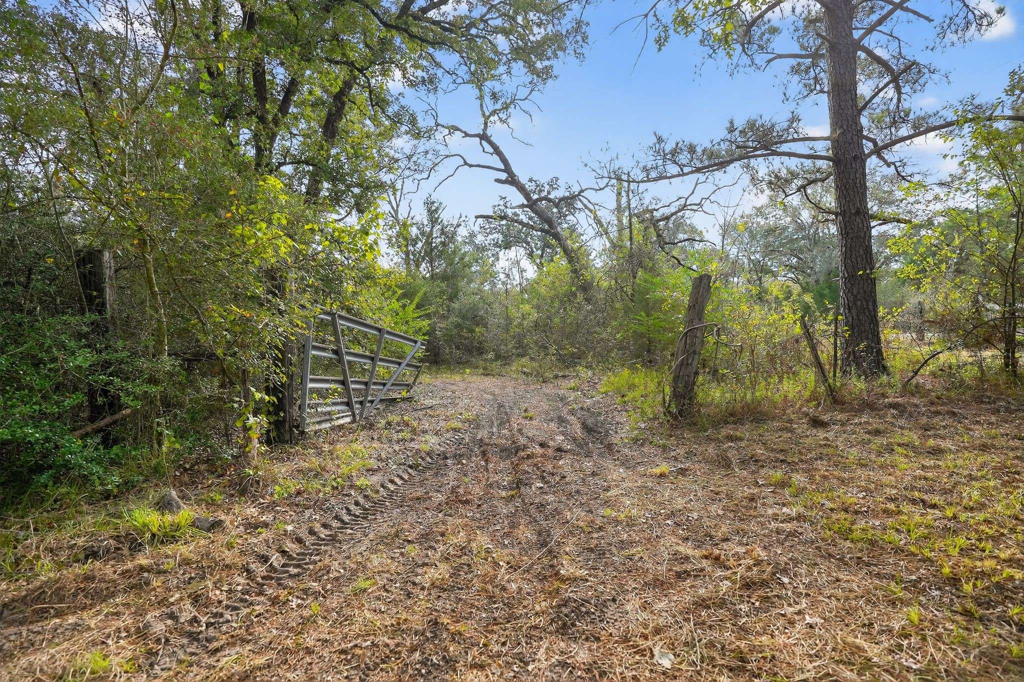 Bedias, TX 77831,102 Outback Alley