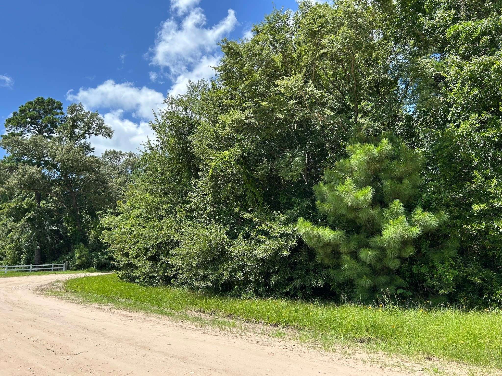 Huntsville, TX 77320,87 Townley Ranch RD