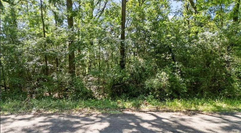 Livingston, TX 77351,TBD Sharon LN