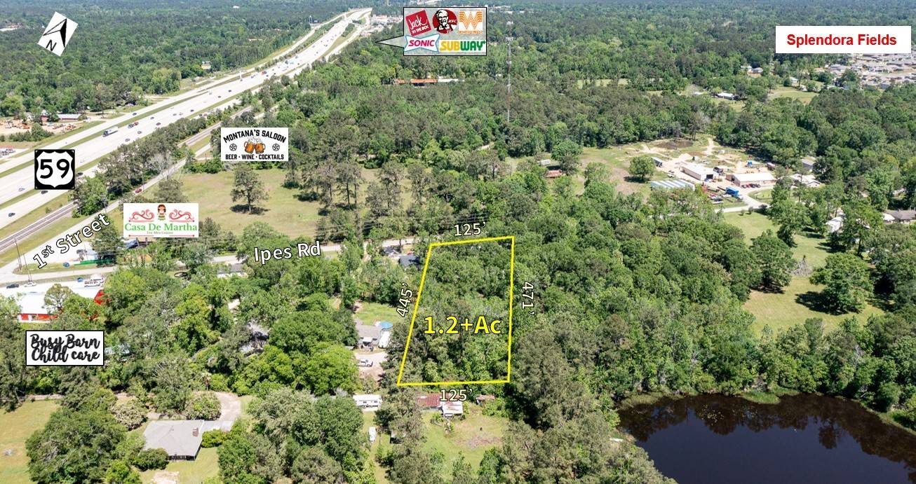 Splendora, TX 77372,25528 Ipes RD