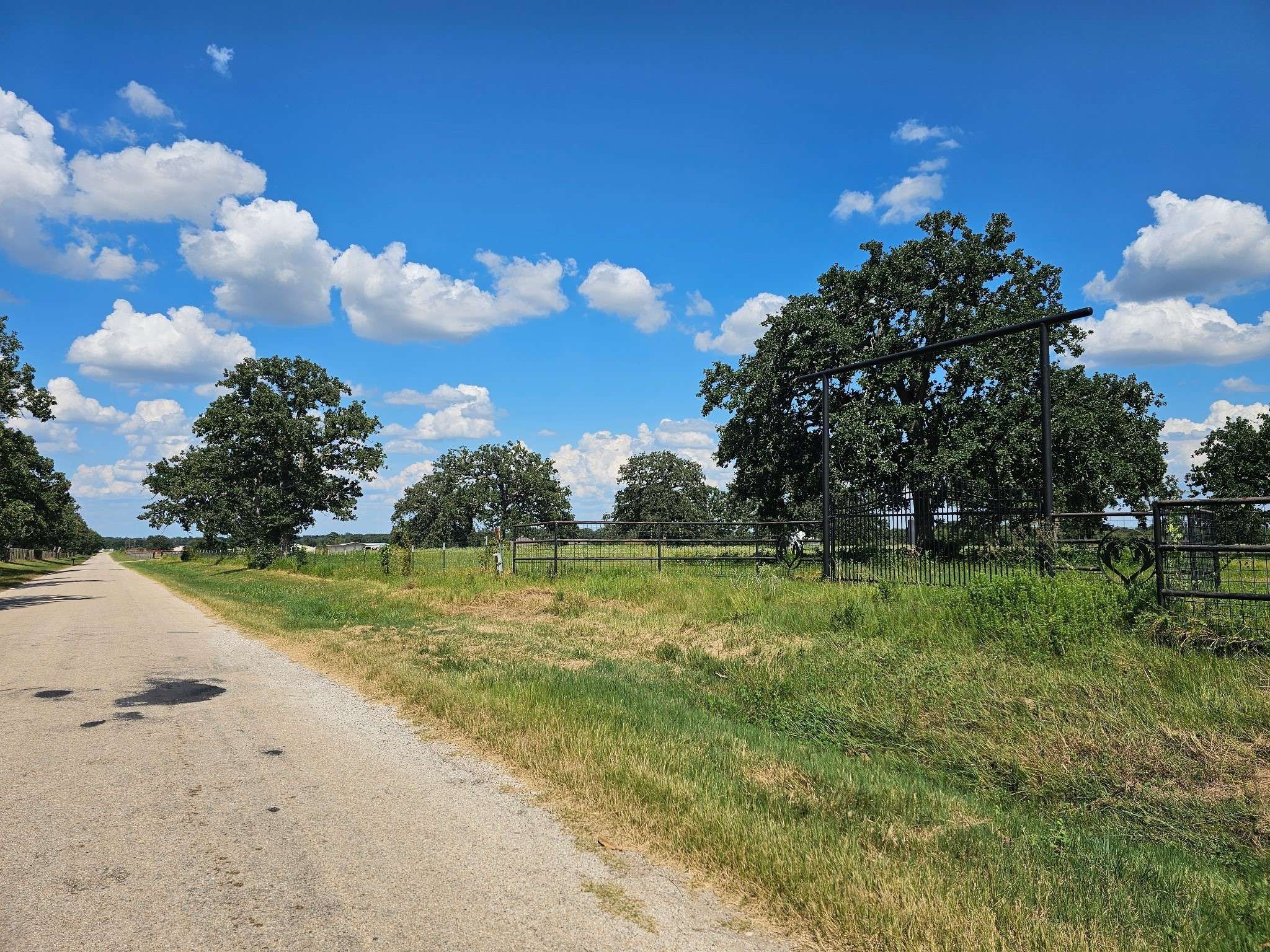 Somerville, TX 77879,8234 County Road 201