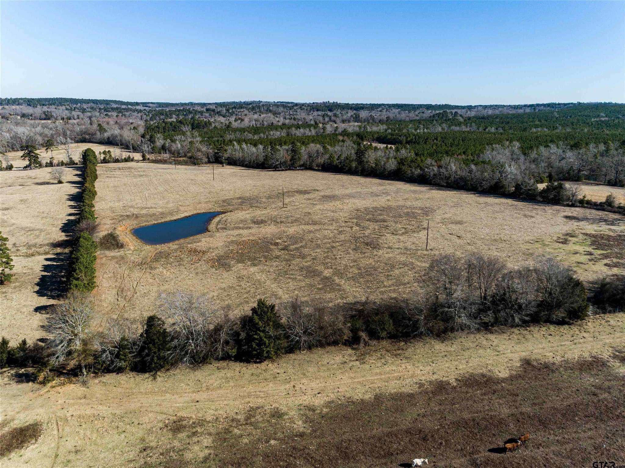 Henderson, TX 75652,TBD County Road 317