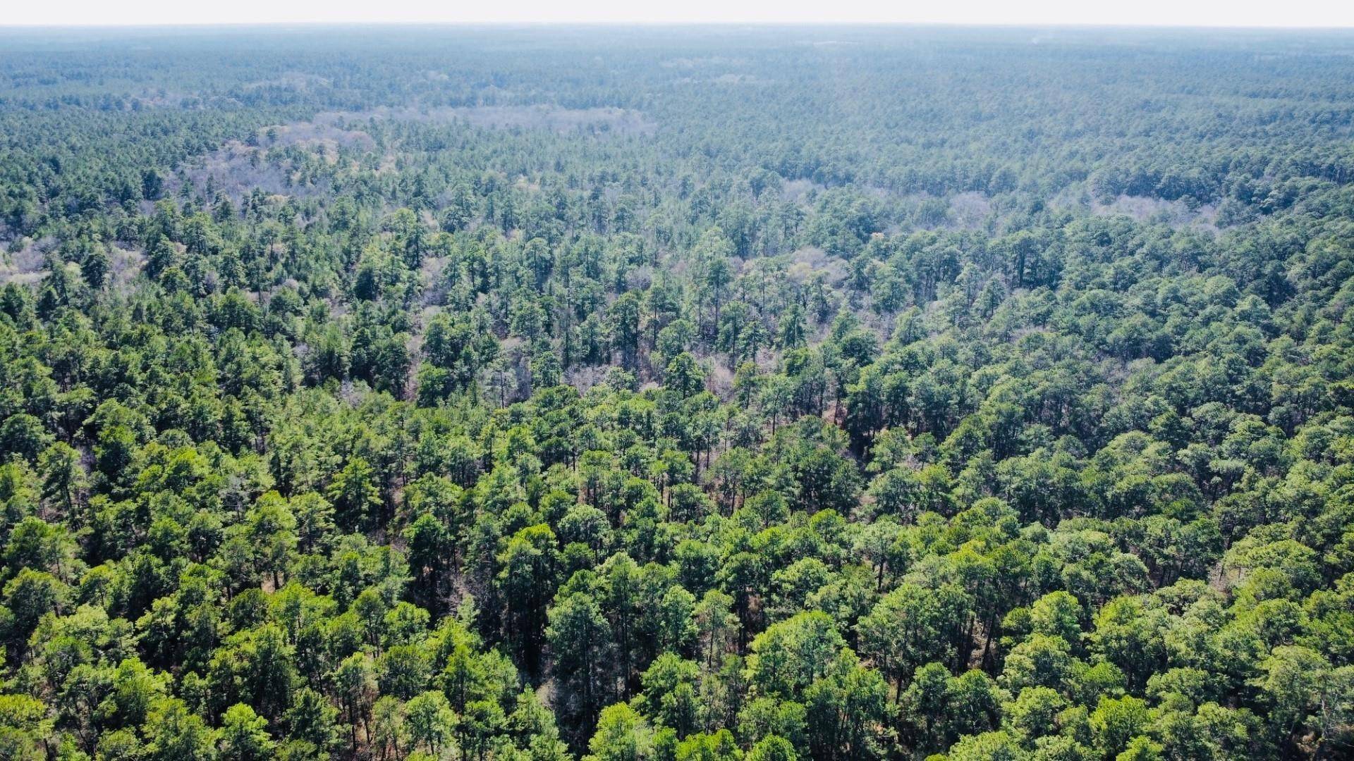 Cleveland, TX 77328,T-B-D FM-1725