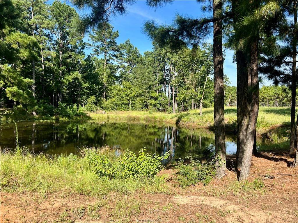 Centerville, TX 75833,12422 Private Road 1390