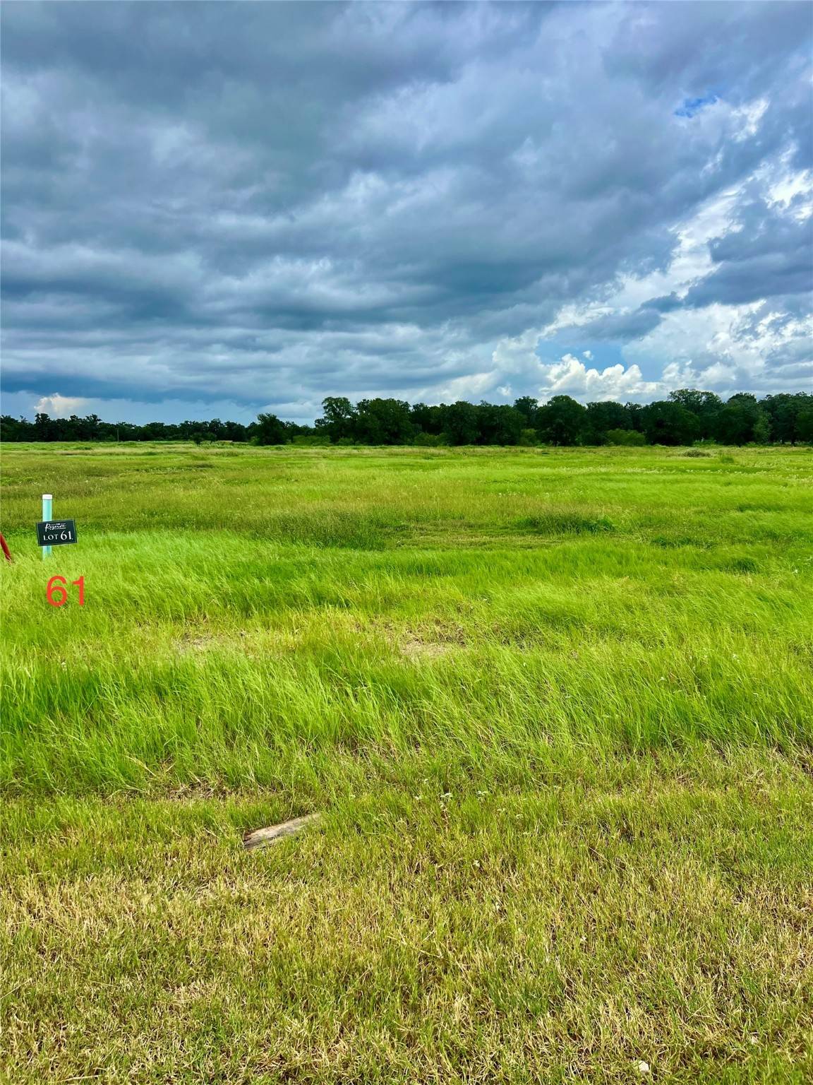 Somerville, TX 77879,724 Lake Day DR