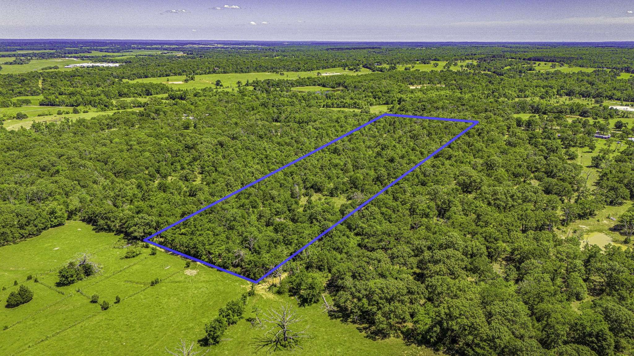 Oakwood, TX 75855,1093 Fm 489