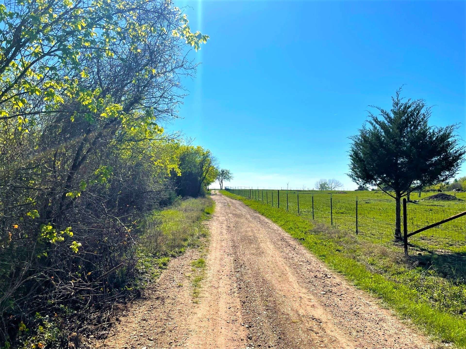 Hubbard, TX 76648,Lot 15 Hcr 3352