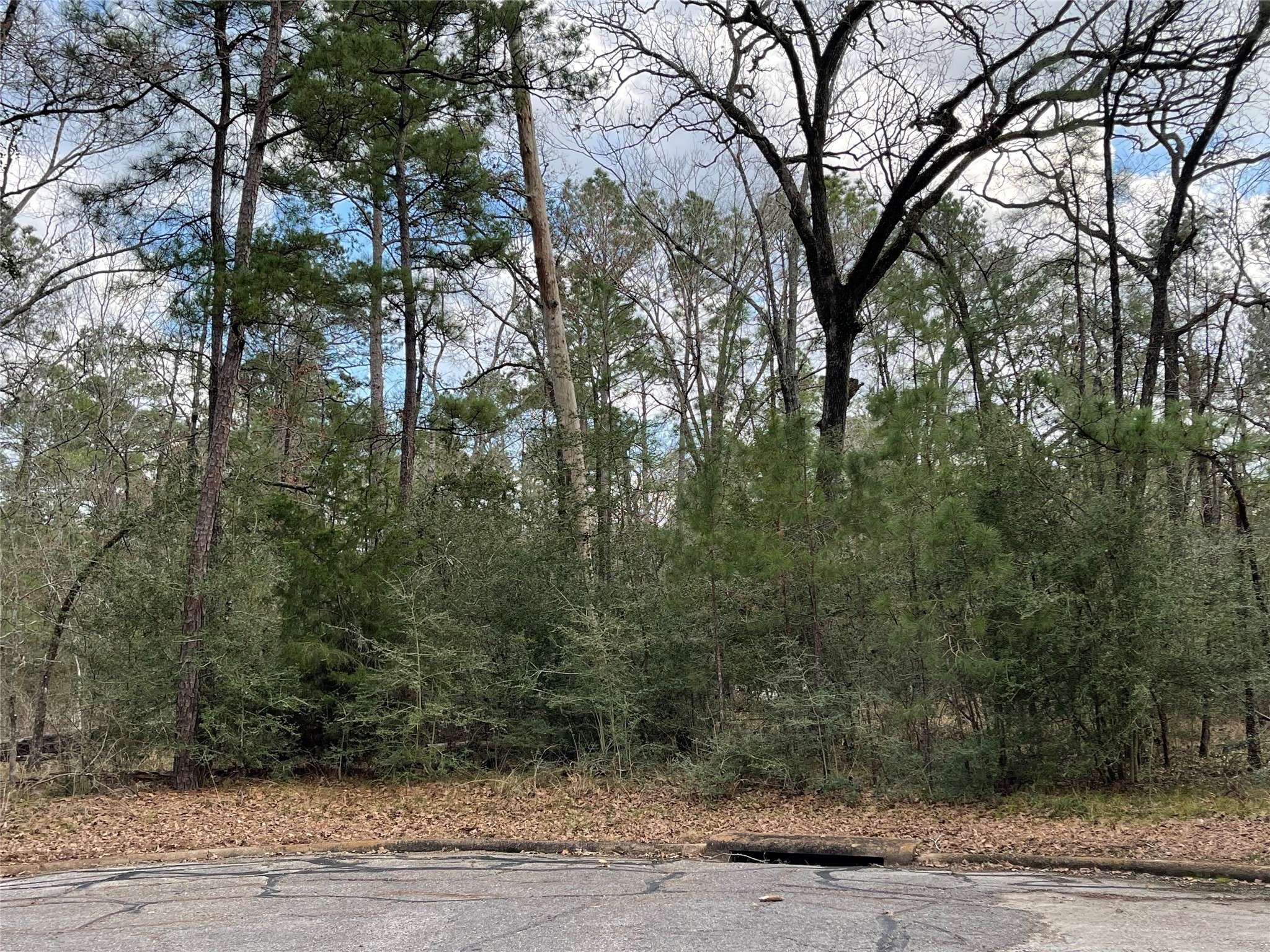 Huntsville, TX 77320,TBD Fir Court
