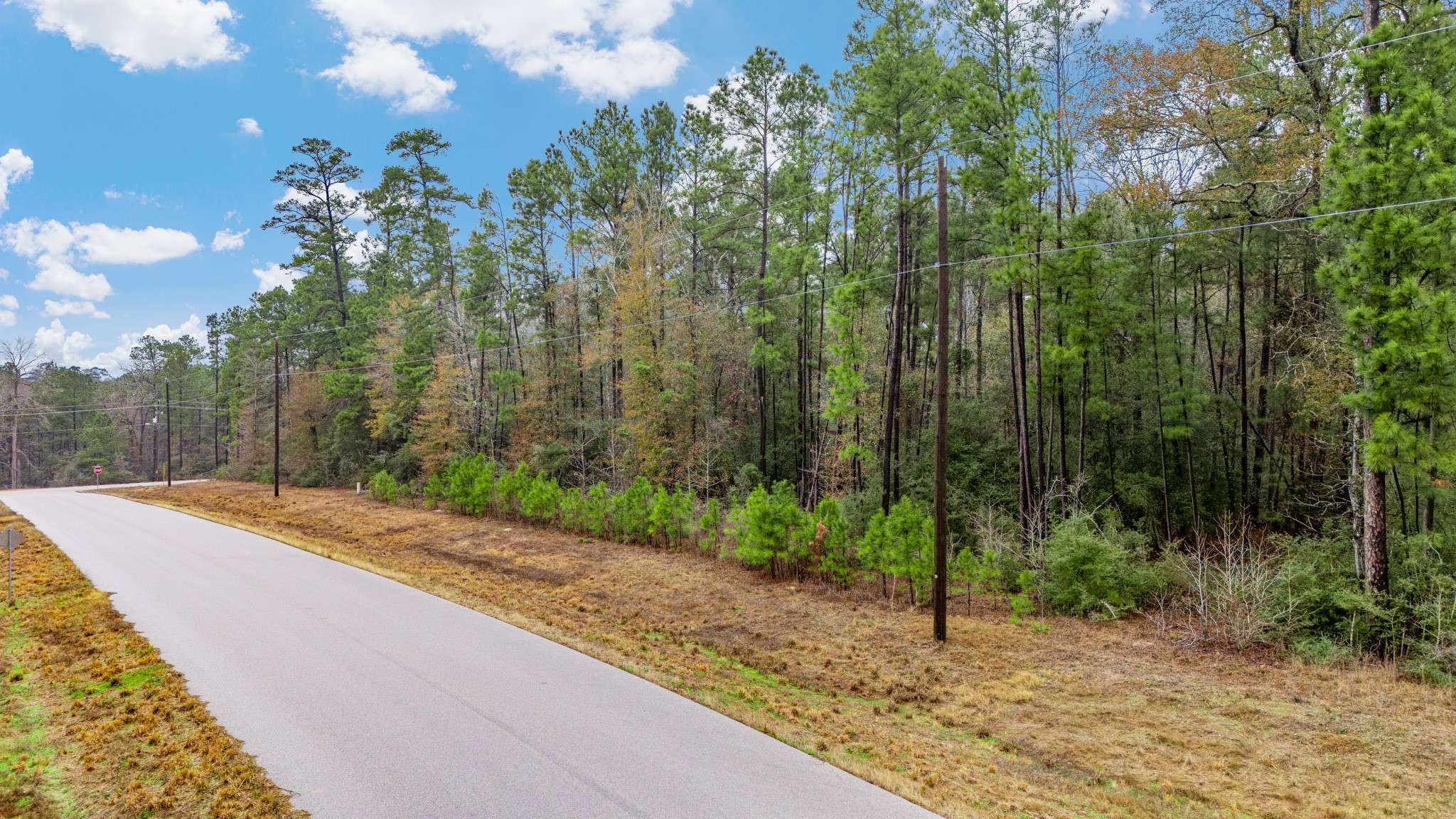 Huntsville, TX 77340,00 Sky Oak LN