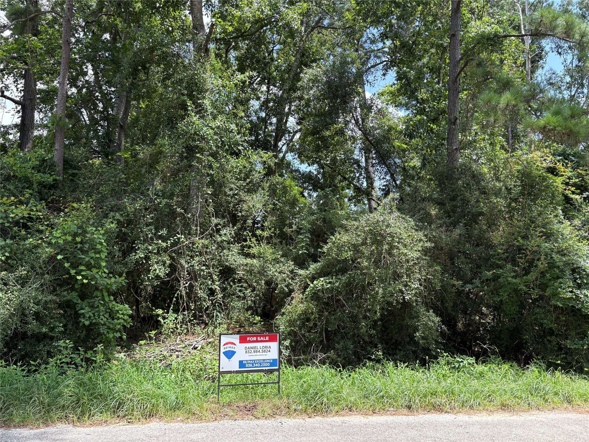 Conroe, TX 77306,17333 Shadow LN