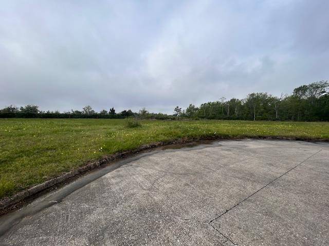 Beaumont, TX 77707,7555 Coral Creek ST