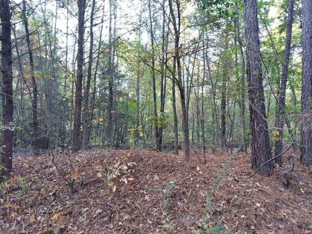 Avinger, TX 0,0 County Road 1587 TR 3A