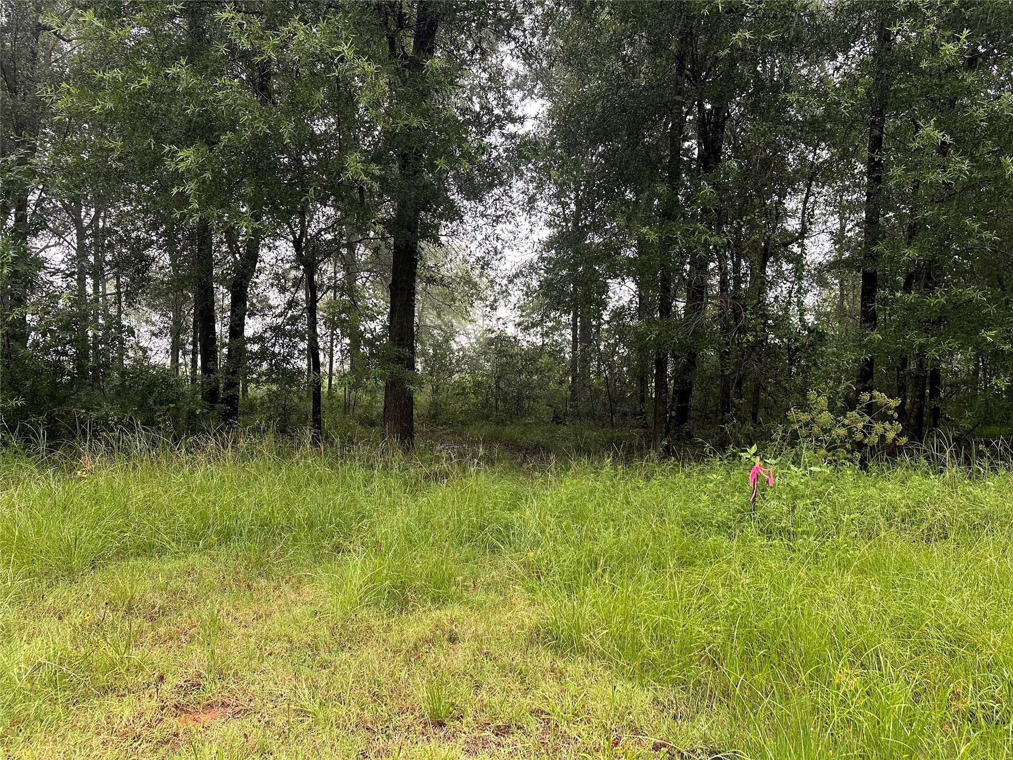 Livingston, TX 77351,258 Vine Arbor DR