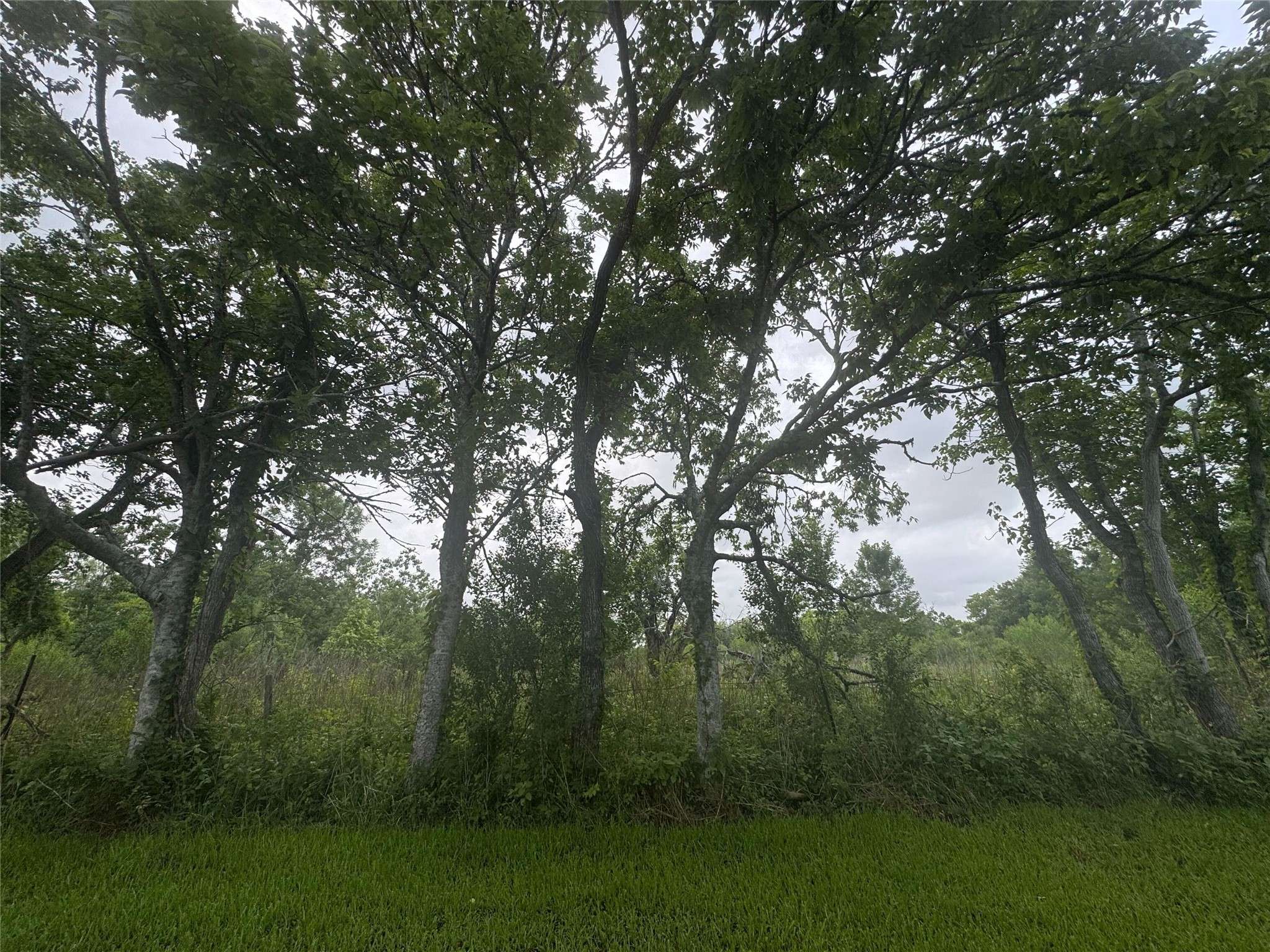 Dickinson, TX 77539,823 29th ST