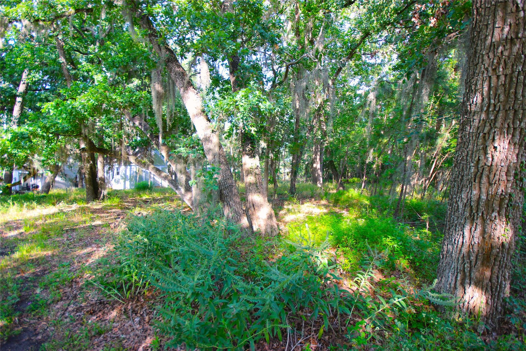 Coldspring, TX 77331,22 Walnut Point DR