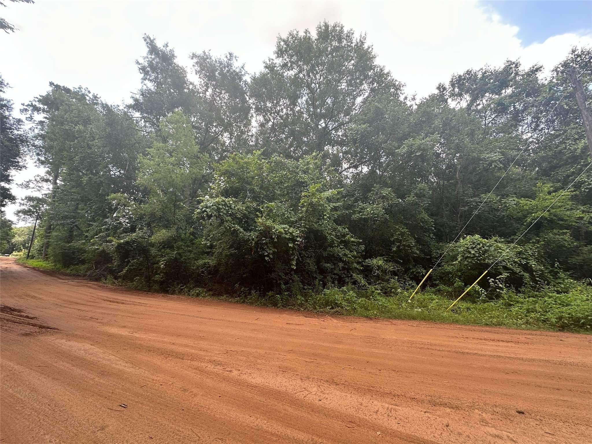 Plantersville, TX 77363,72 Live Oak DR