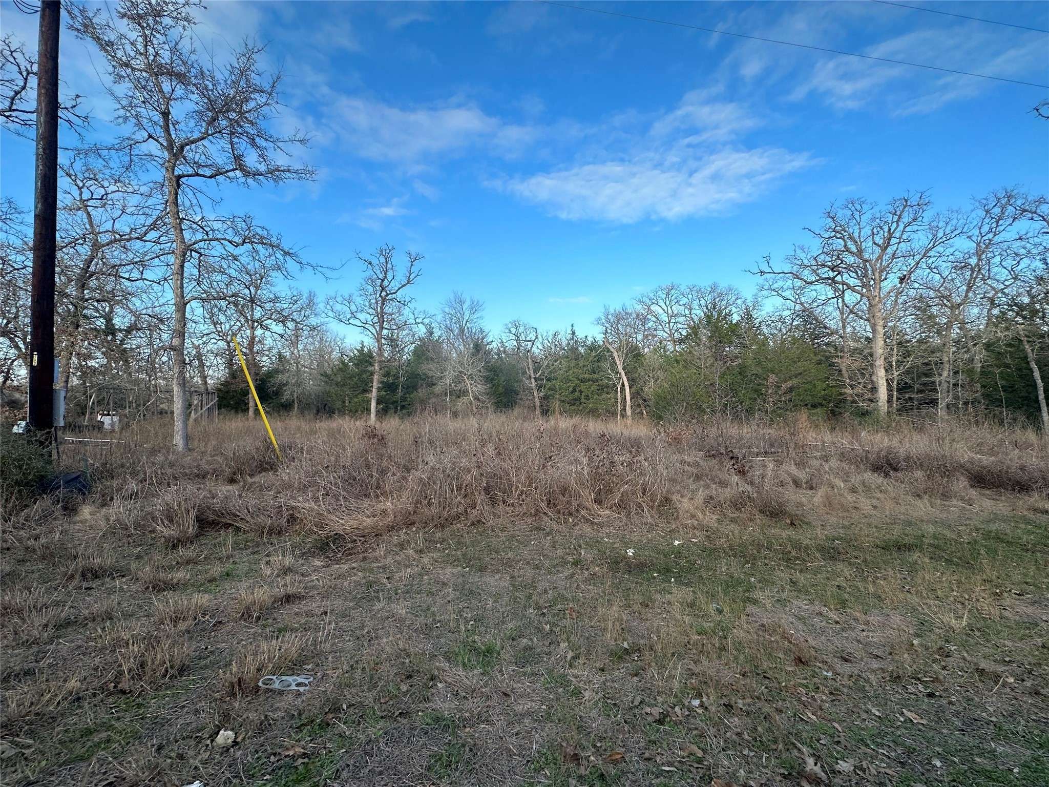 Somerville, TX 77879,104 Rainbow CIR