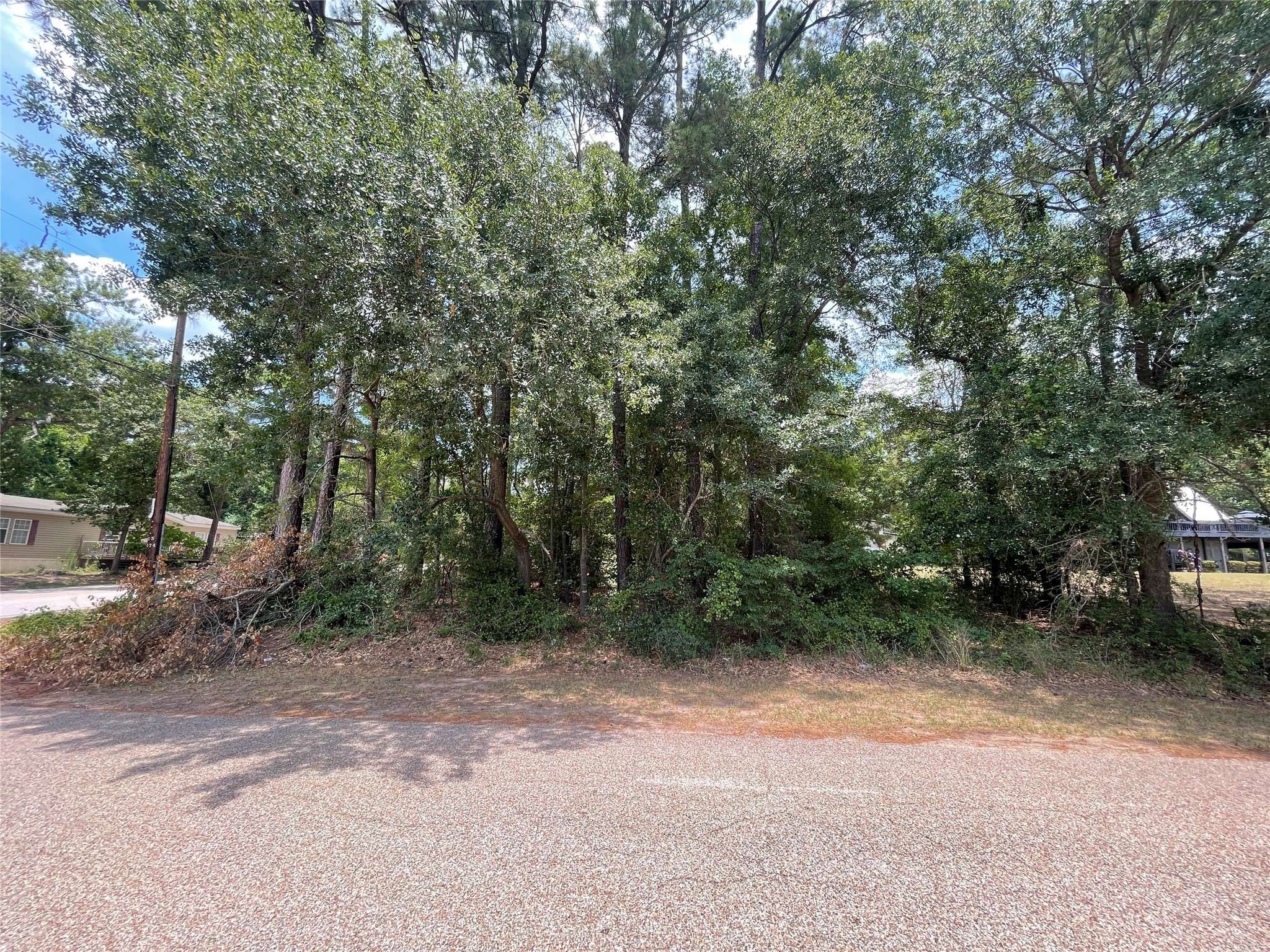 Willis, TX 77318,16321 Loch Ness DR