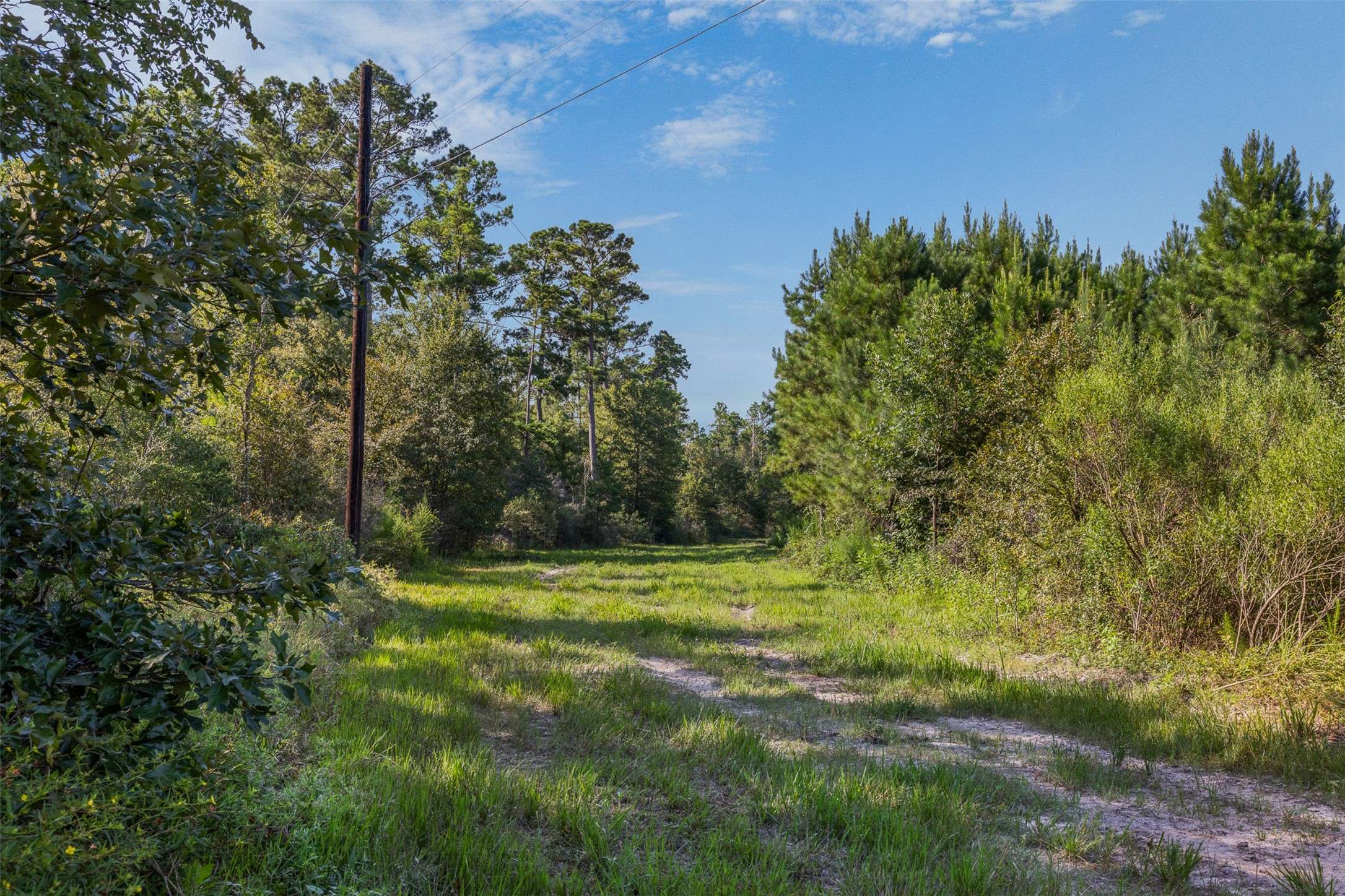 Midway, TX 75852,109 Old Sign RD