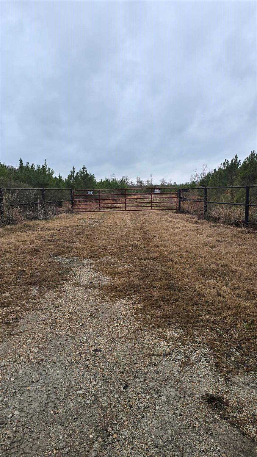 Huntington, TX 75949,TBD MARTIN COCHRAN RD