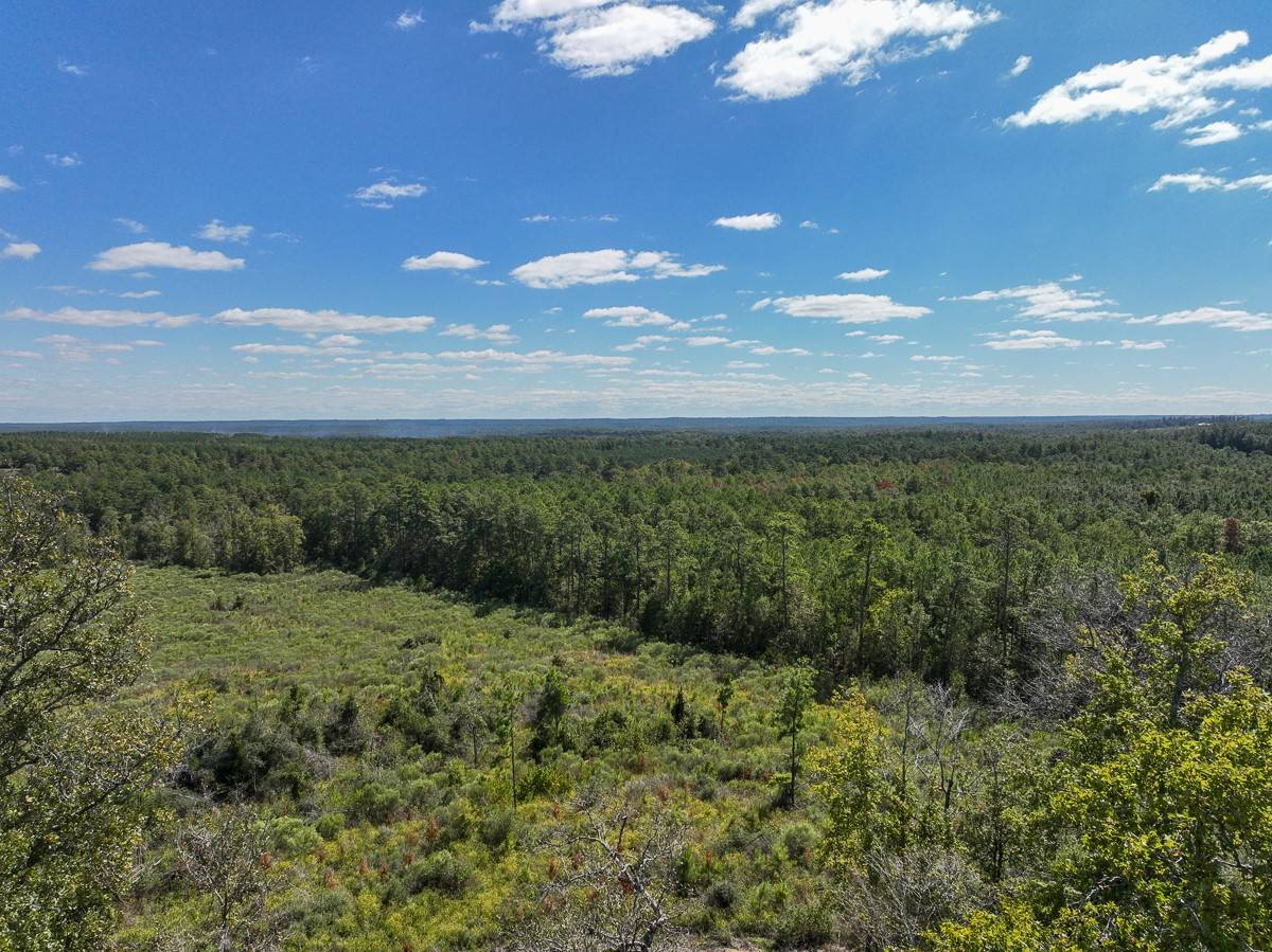 Livingston, TX 77351,14 FM 350