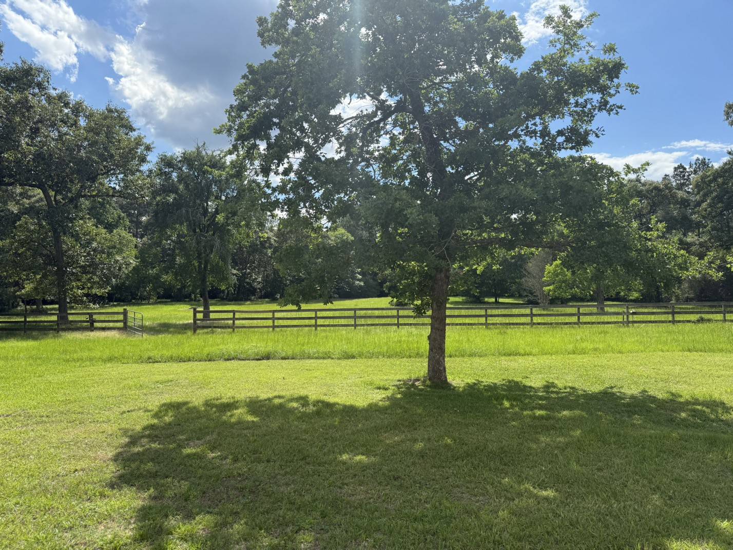 Magnolia, TX 77355,20215 Sapphire CIR
